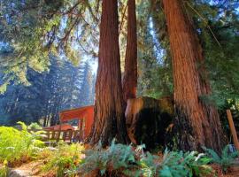 Fern River Resort, hotel near Roaring Camp, Big Trees and Pacific Rail, Felton