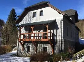 Villa Vykmanov