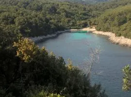 Planika Apartments 2