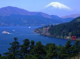 Chalet Itomic M - Mountain view -, chata v destinaci Hakone