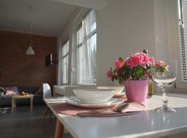 Apartament Gliwice Centrum Fredry II，格利維採的海灘飯店