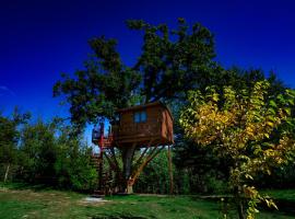 Casa sull'albero Bocchineri – hotel w mieście Rogliano