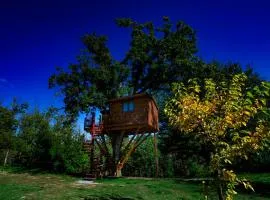 Casa sull'albero Bocchineri