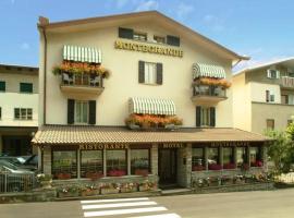 Hotel Montegrande, hotel Vidiciaticóban