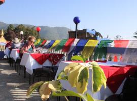 Family Guest House with roof top restaurant/bar, Hotel in Kathmandu