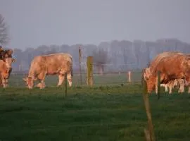B&B Bij Bronckhorst