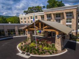 Holiday Inn Express Gatlinburg Downtown, an IHG Hotel, hotel near Amazing Mirror Maze, Gatlinburg