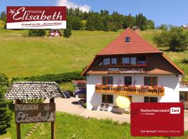 Pension Elisabeth: Todtnauberg şehrinde bir otel