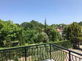 Dimeli 1