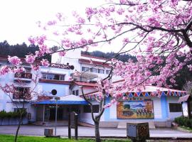 Alishan Youth Activity Center, hotel v destinaci Čung-čeng