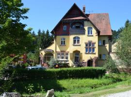 Hotel Dammenmühle, hotel v destinaci Lahr