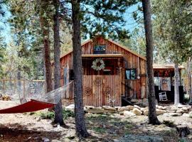 Lil' Frying Pan Cabin, pet-friendly hotel in Golden