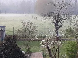 BEDLOIRE