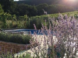 cottage with private swimming pool, hotel sa Pavlov