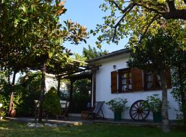 Marelmy, hotel v destinaci Mouresi