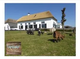 Vakantiehuis ''De Bolle''