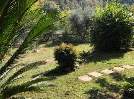 Casa Costanza