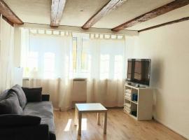 Cozy apartment close to Zurich Airport and City, hotel with parking in Oberglatt