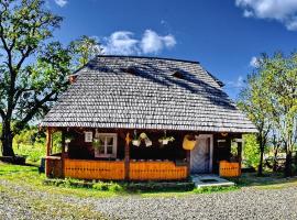 Complex Tradițional Casa din Vale Breb, hotel en Breb