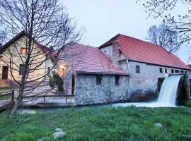 Moara de Piatra, hotel with parking in Cîrţa