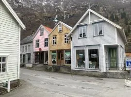 Old town boutiqe apartments/ Gamle Lærdalsøyri boutique leiligheter