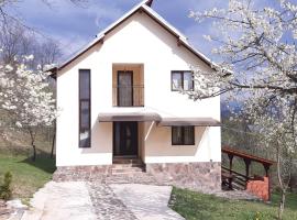 Casa Fluțar, dovolenkový dom v destinácii Moisei