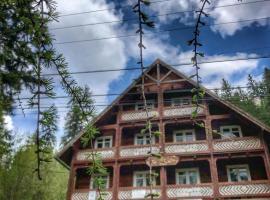 Pensiunea Vanatorul, hotel v destinaci Băile Tuşnad