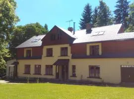 Apartmán Bedřichov