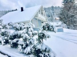 Chalet Le Flocon Bleu - Mauselaine avec vue sur le Lac de Gérardmer、ジェラールメのホテル