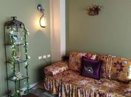 DOWN TOWN LUXURY Apartment