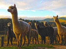 Valley Farm Vineyard Villas, penginapan di ladang di Healesville