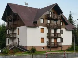 Harrachov Apartmán 206