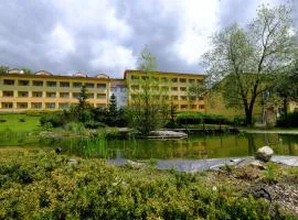 Lipno Wellness - Frymburk C 401