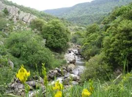 Tourism in the village