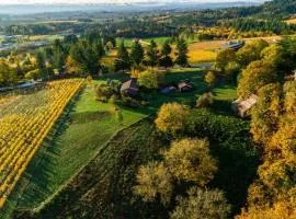 Pinot Vista