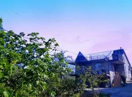 53 jincharadze street Makhinjauri, Batumi