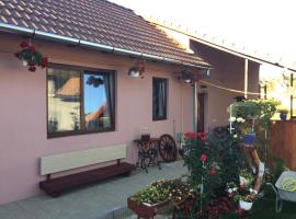 Casa rustica cu terasa – hotel dla rodzin w mieście Mediaş