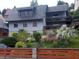 Pension Elblinge, гостевой дом в городе Prossen