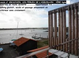 ARCACHON T3 WIFI Les Perles de l Aiguillon Vue Bassin 1ère Ligne 4 à 6 Personnes