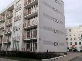 Palm apartment studio Riga