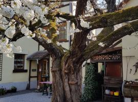 Ferienwohnung Zum-alten-Kirschbaum, cheap hotel in Limburg an der Lahn