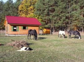 Agroturystyka Polana Harmonii, cabin in Przytoczna 