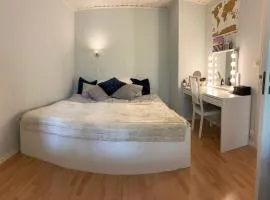 Cozy apartment nearby Oslo Koselig leilighet i nærhet til Oslo