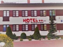 HOTEL** - Restauracja Modrzewiowa, hotel v destinaci Rypin