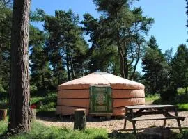 Penbedw Uchaf Estate - Rural retreats, tennis