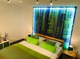 Limes Apartment -übernachten am Limes-