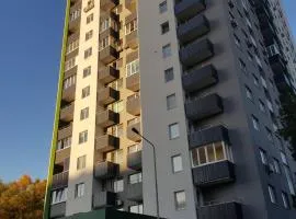 Теремки