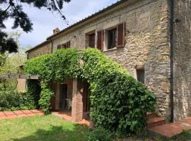 CASE&COLLINE La Prospettiva