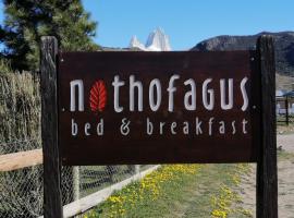 Nothofagus Bed & Breakfast, cheap hotel in El Chalten