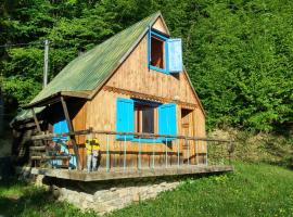 Malebná chata v lese, husdjursvänligt hotell i Opátka